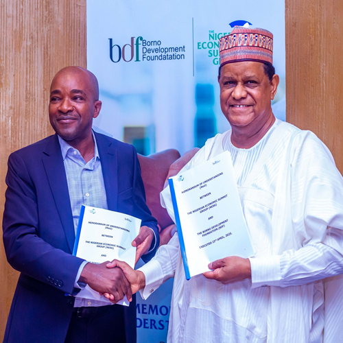 NESG Collaborates to Launch Borno Development Foundation, Deepening Regional Focus for National Economic Growth